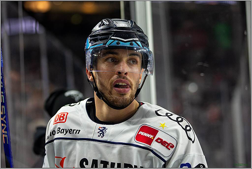 PENNY DEL;  Kölner Haie - ERC Ingolstadt; Köln, 25.11.2022